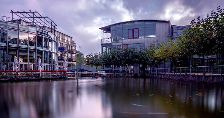Der Rhein-Kreis und die Region