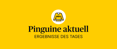 Pinguine aktuell